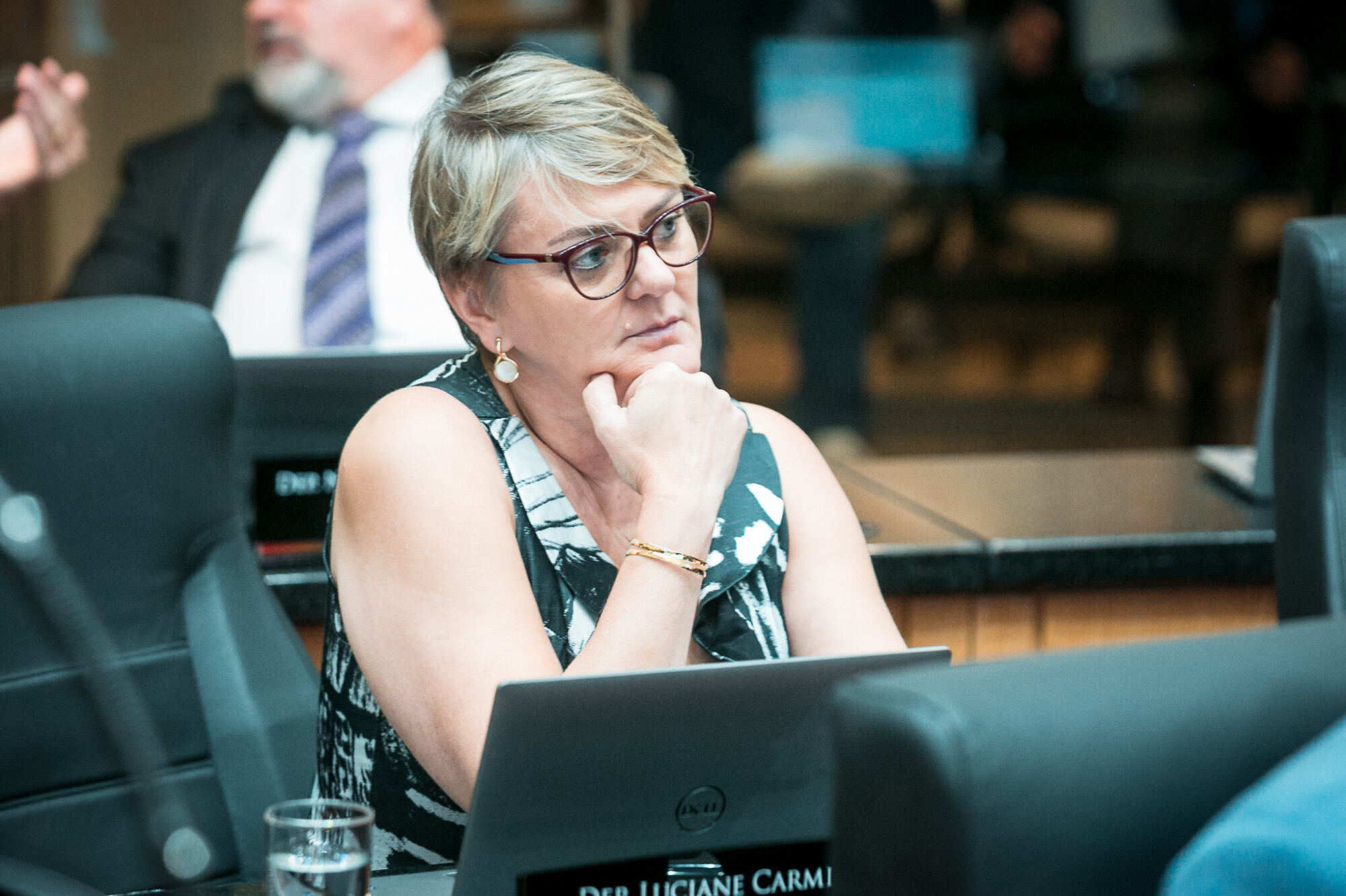 - Deputada Luciane Carminatti (PT)