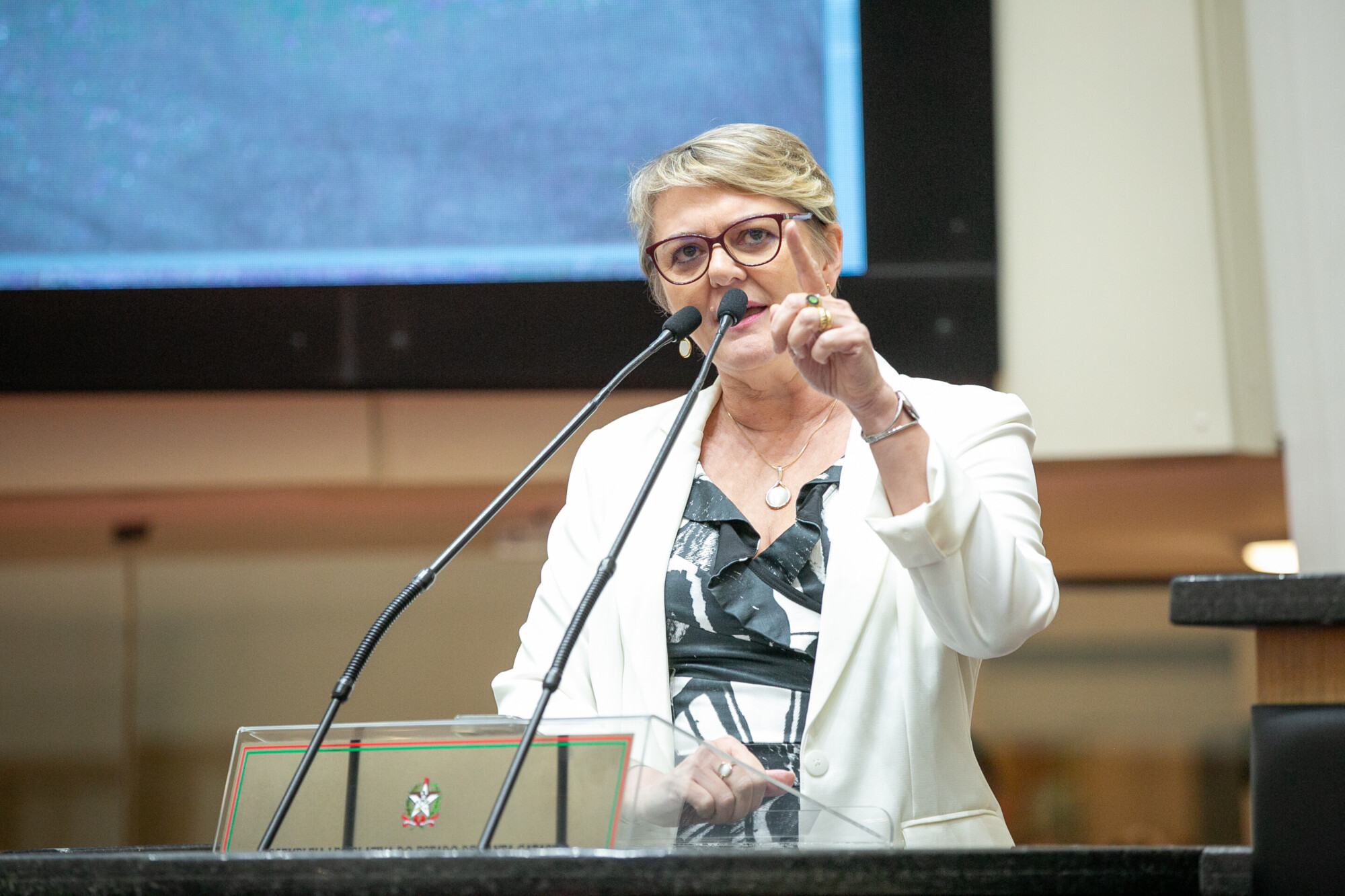 - Deputada Luciane Carminatti (PT)