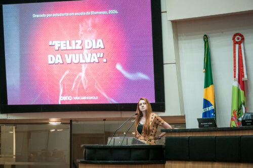 Pronunciamentos sobre pornografia em escolas e julgamento de Seif dominam sessão