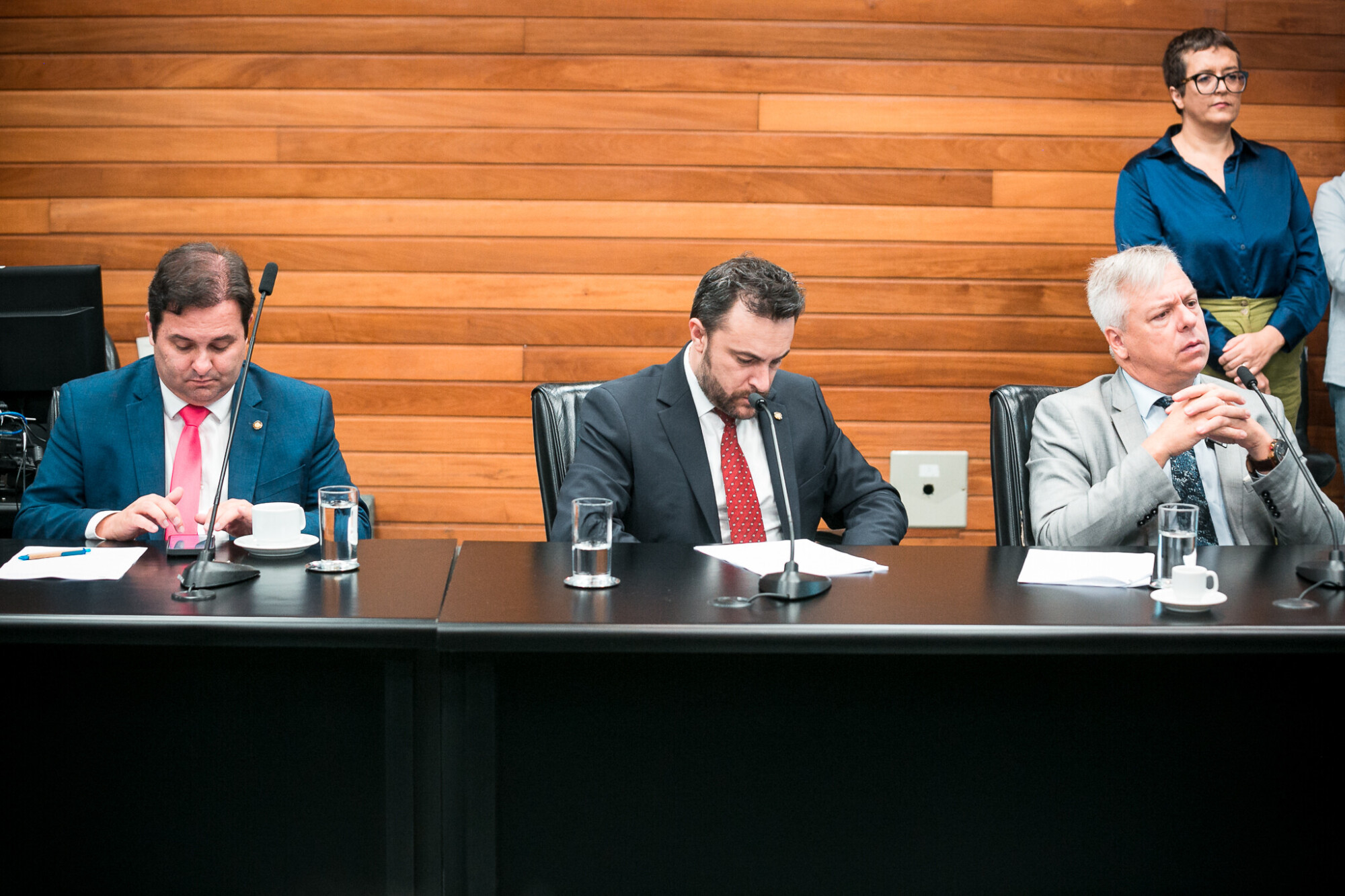 - Deputado Sérgio Guimarães(União) 
- Deputado Marcius Machado (PL) 
 - Deputado Fabiano da Luz (PT)