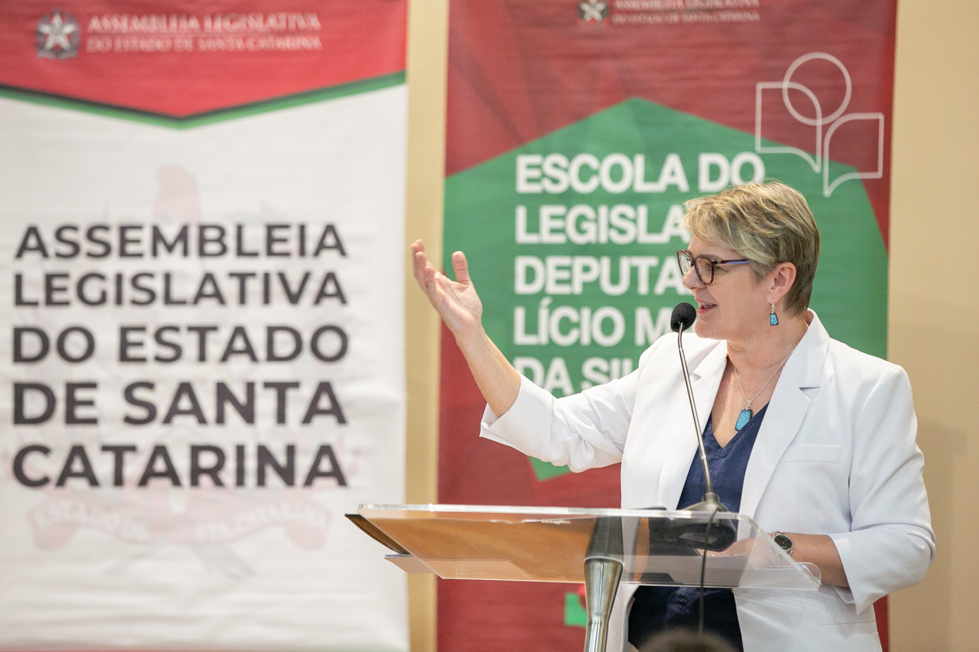 - Deputada Luciane Carminatti (PT)
