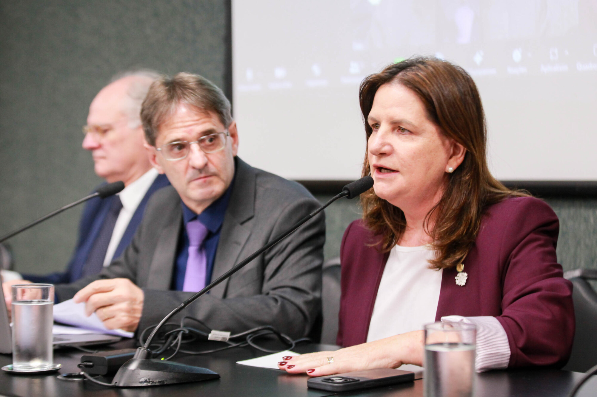 - Deputado Dr. Vicente Caropreso (PSDB) 
 - Deputado Neodi Saretta (PT) 	
Carmen Zanotto- Secretária  de Saúde SC