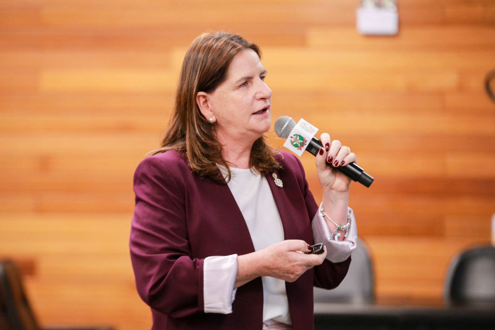 Carmen Zanotto- Secretária  de Saúde SC