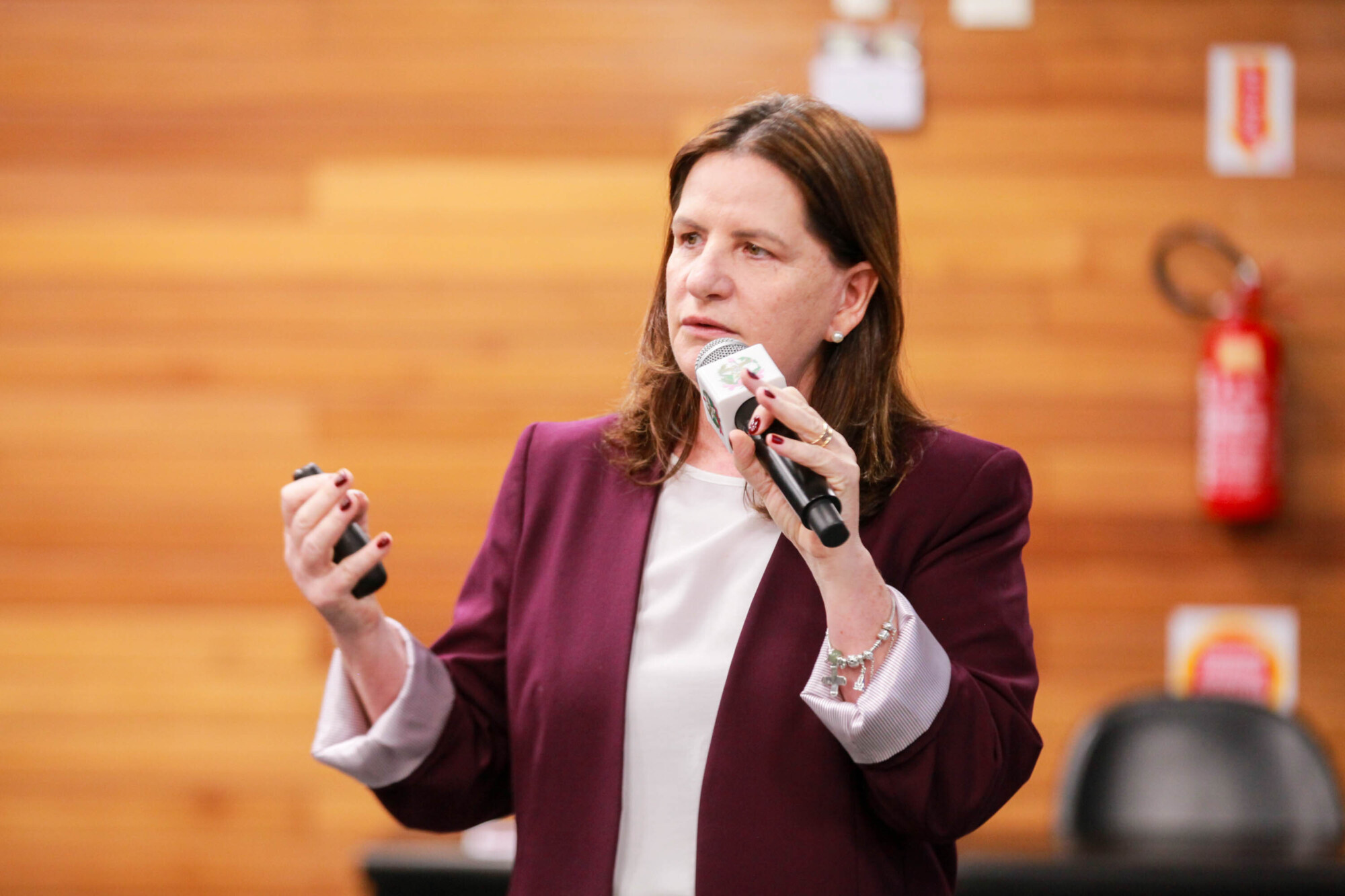 Carmen Zanotto- Secretária  de Saúde SC
