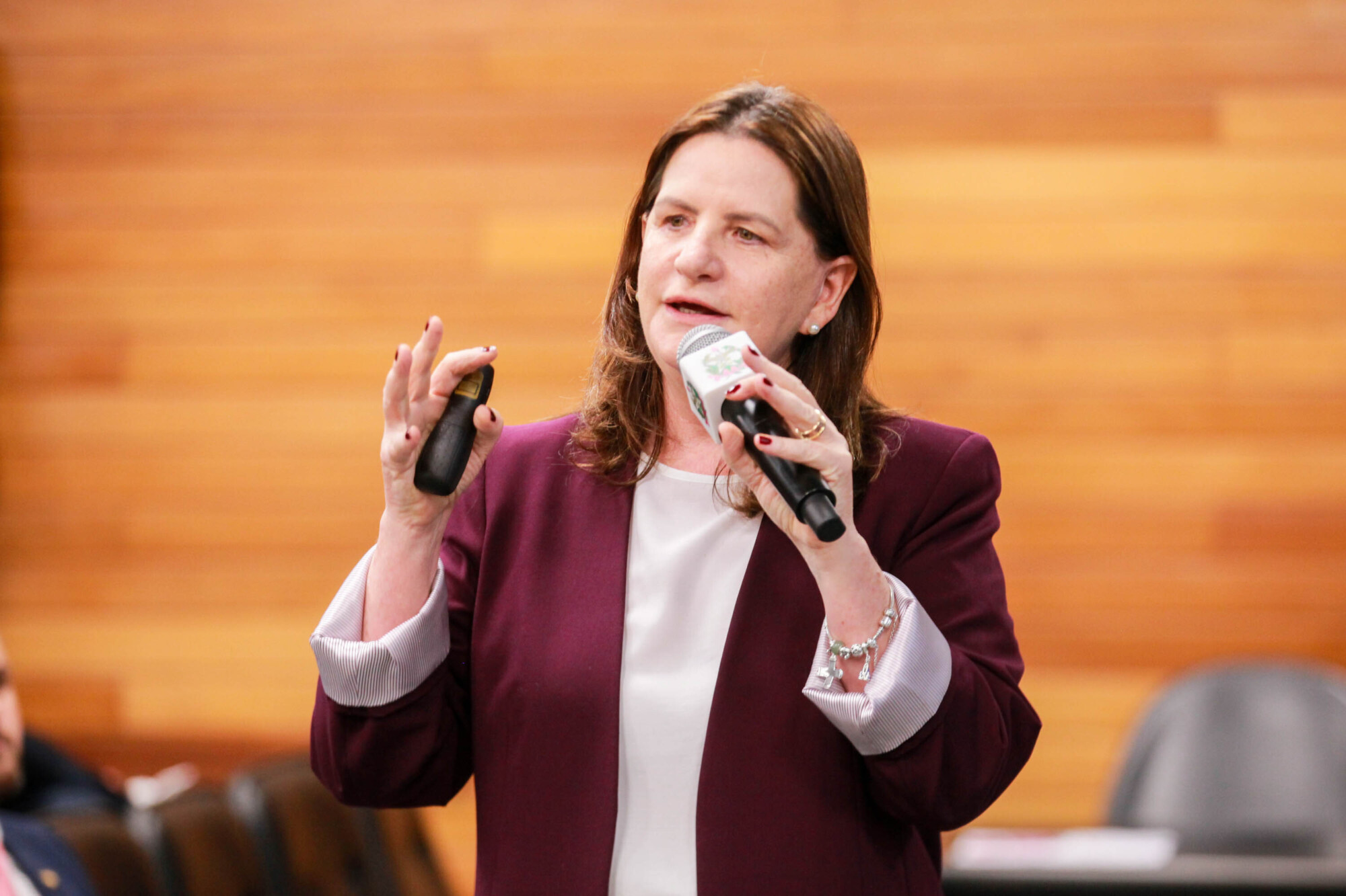 Carmen Zanotto- Secretária  de Saúde SC