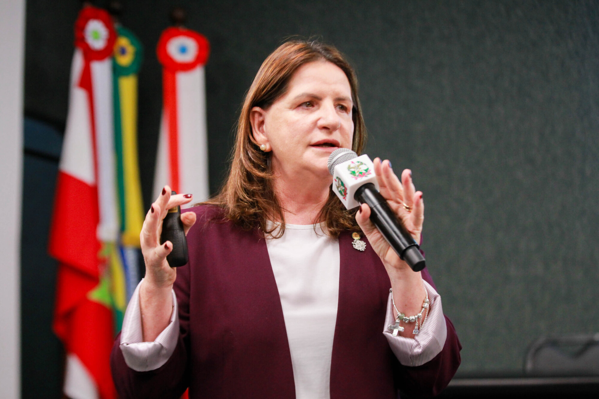 Carmen Zanotto- Secretária  de Saúde SC