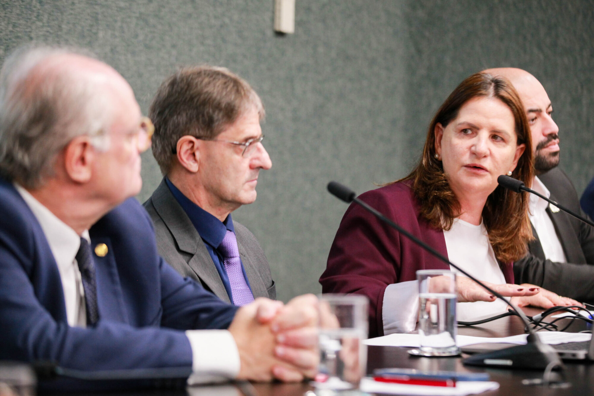 - Deputado Dr. Vicente Caropreso (PSDB)  	

 - Deputado Neodi Saretta (PT) 	
Carmen Zanotto- Secretária  de Saúde SC