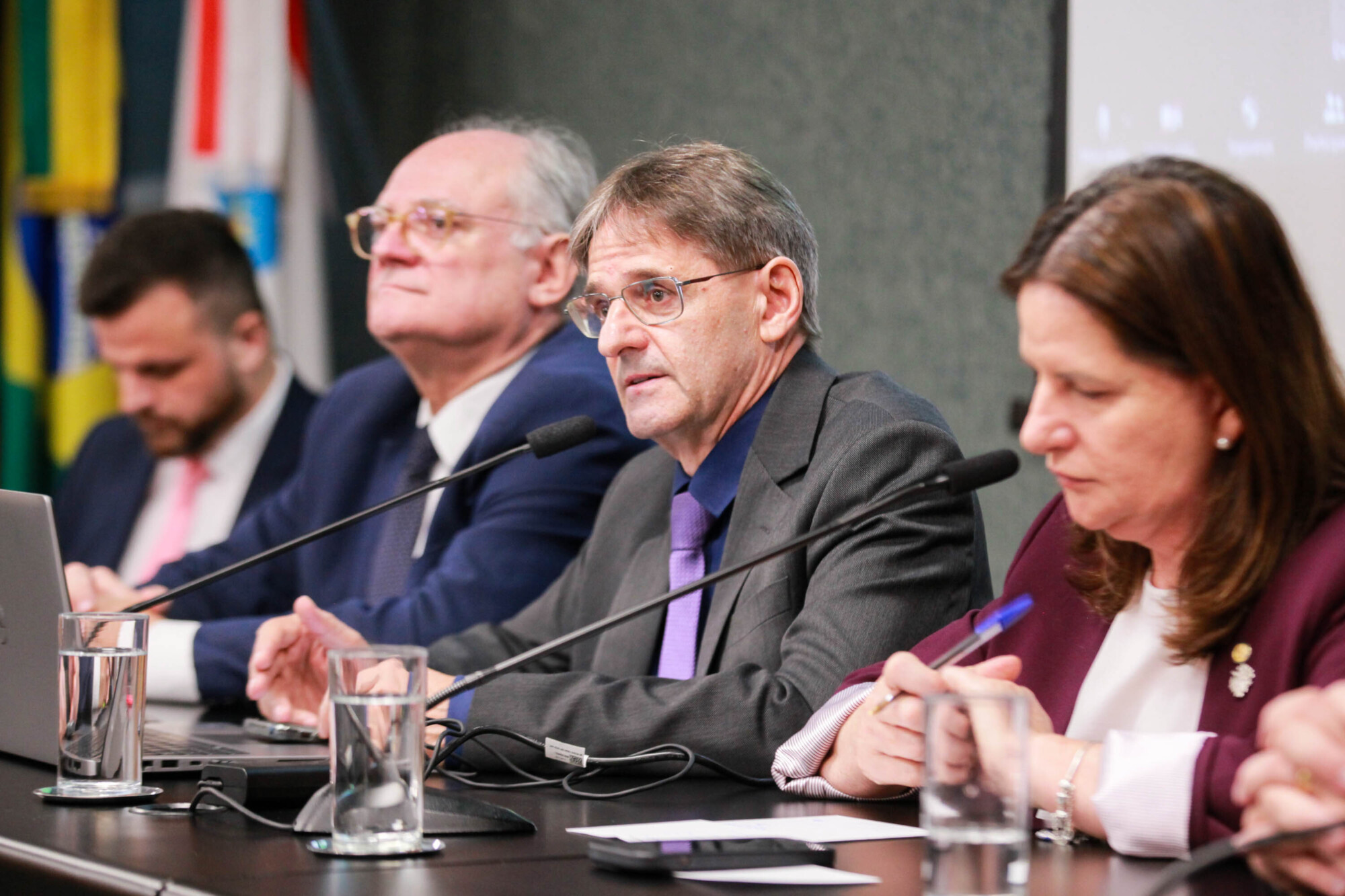 - Deputado Dr. Vicente Caropreso (PSDB) 
- Deputado Neodi Saretta (PT)