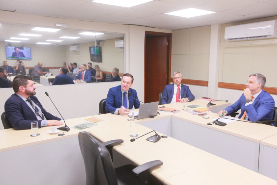 Reunião da Comissão de Economia da Alesc, realizada na tarde desta quarta-feira (10)