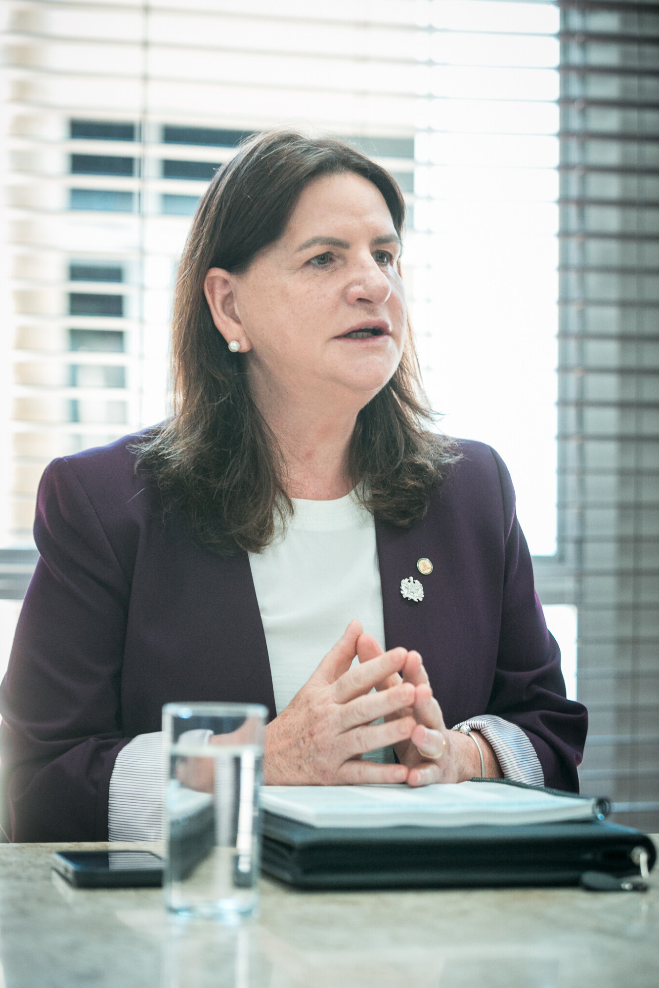 Carme Zanotto- Secretaria de saúde de Santa Catarina