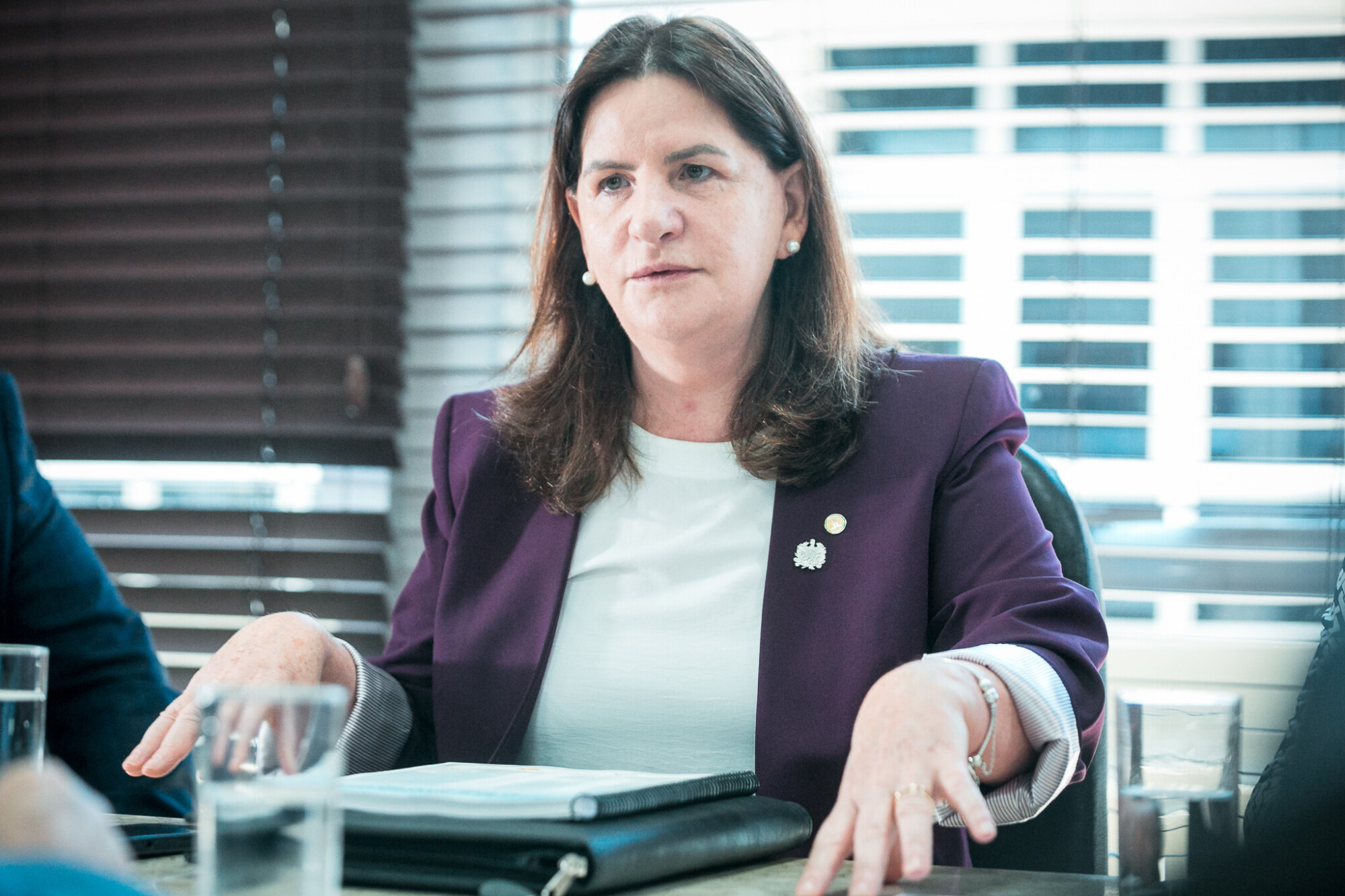 Carme Zanotto- Secretaria de saúde de Santa Catarina