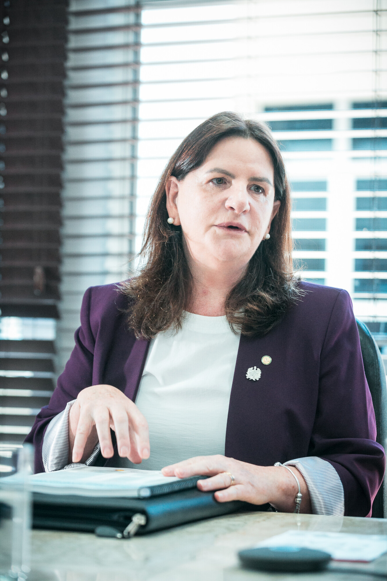 Carme Zanotto- Secretaria de saúde de Santa Catarina