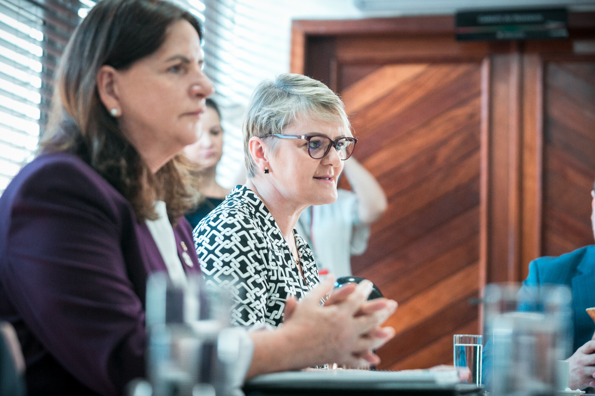 Carme Zanotto- Secretaria de saúde de Santa Catarina - Deputada Luciane Carminatti (PT)