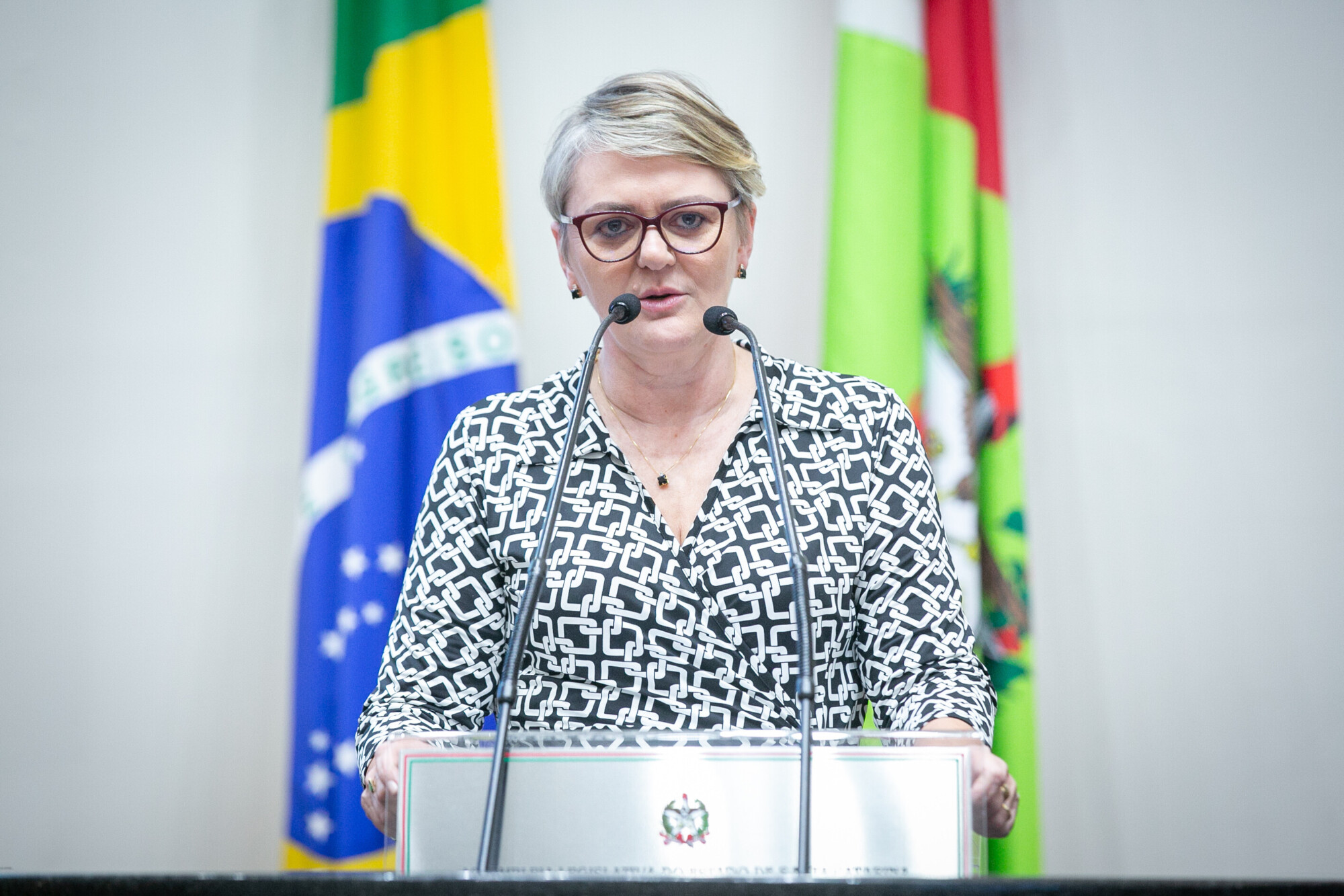 - Deputada Luciane Carminatti (PT)