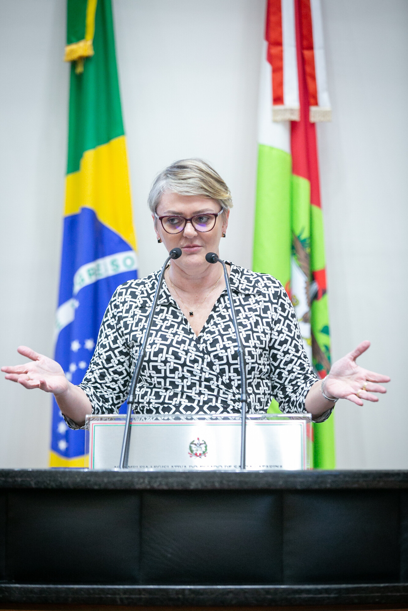 - Deputada Luciane Carminatti (PT)
