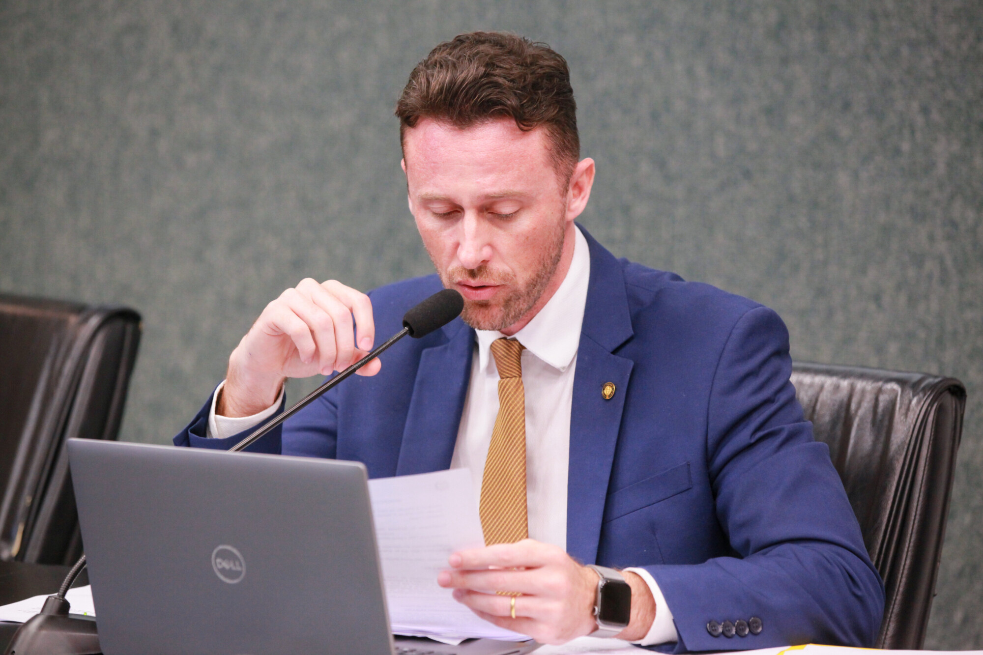 - Deputado Fernando Krelling (MDB)