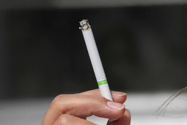Lei estipula multa para quem consumir cigarros em parques infantis. FOTO: James Tavares/Secom/Arquivo