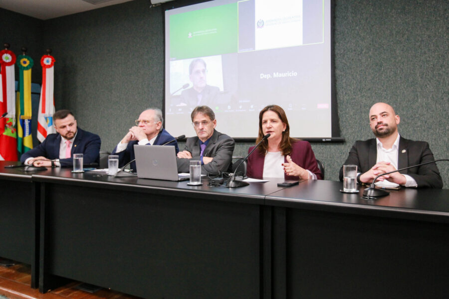 Comissão recebe secretária para avaliar cenário da Saúde em SC