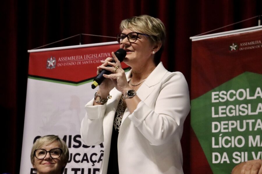 Presidente da Comissão de Educação, deputada Luciane Carminatti (PT). Foto: Isabel Bevilacqua
