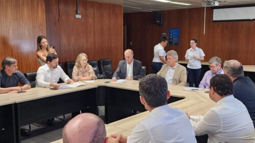 Lideranças buscam solução para conclusão da subestação de energia de Araranguá