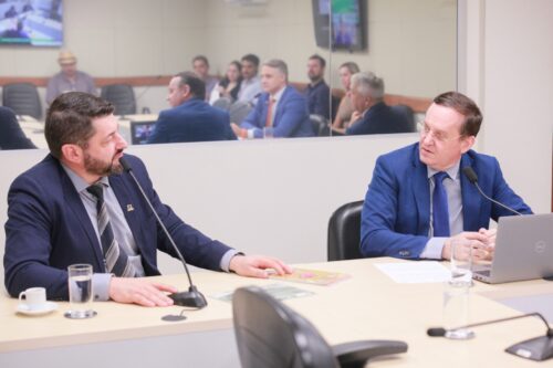 Udesc apresenta balanço da gestão 2020-2024 para a Comissão de Economia
