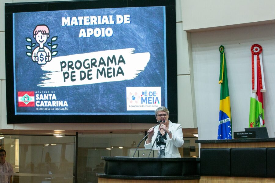 Deputada Luciane Carminatti
