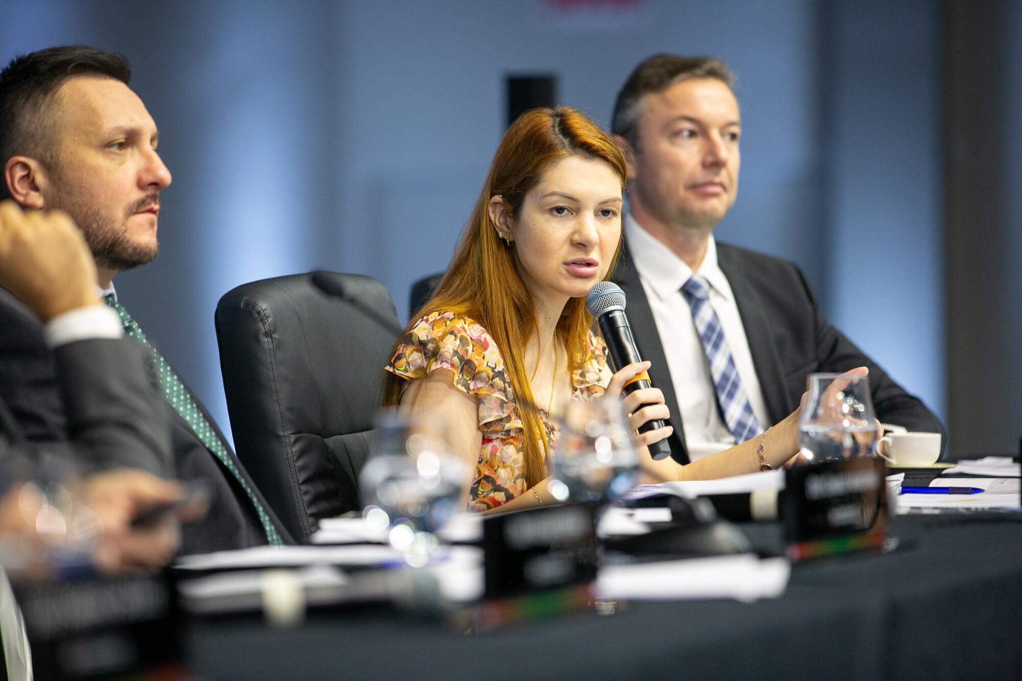- Deputada Ana Campagnolo (PL)
 - Deputado Napoleão Bernardes (PSD)