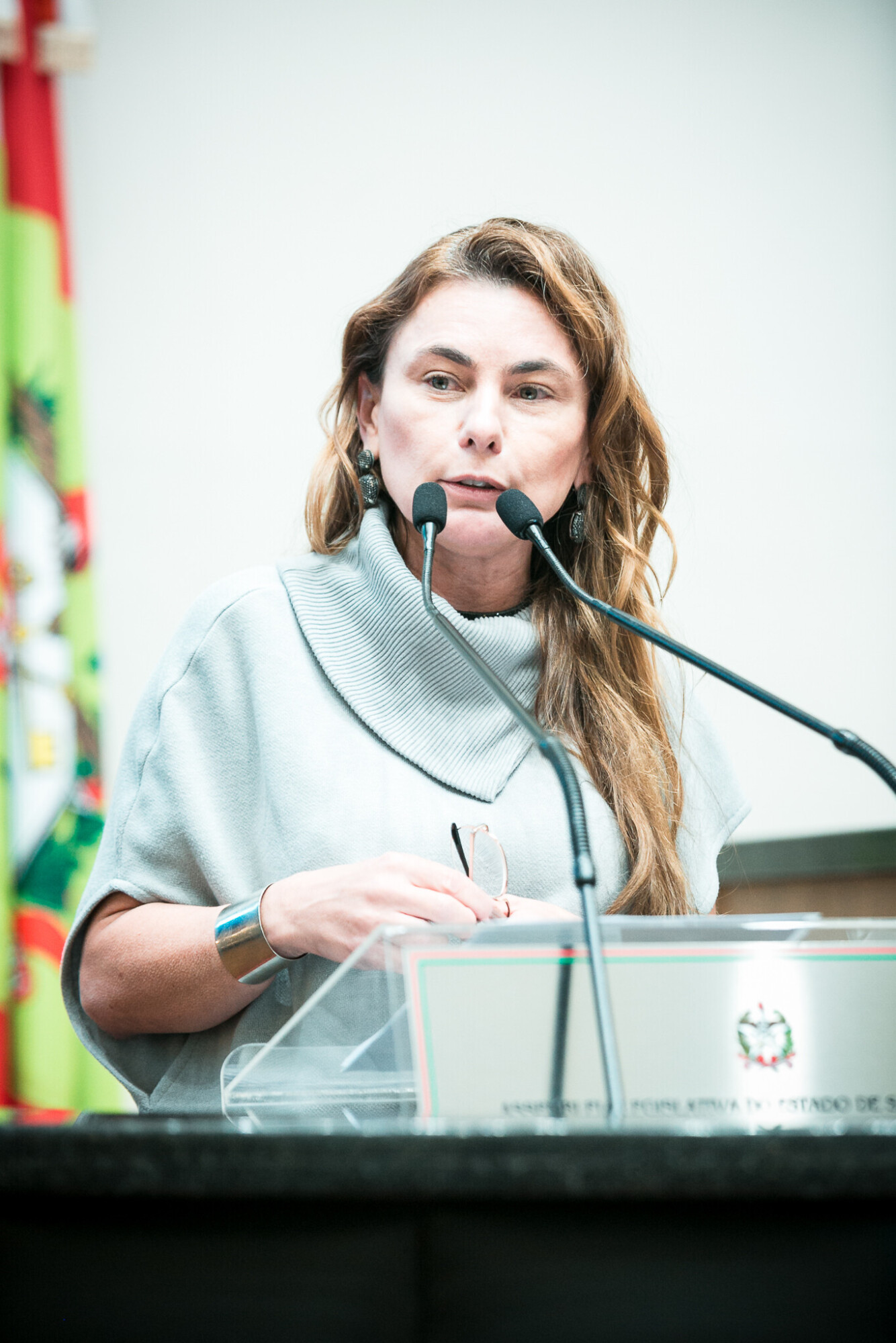 - Deputada Paulinha (Podemos)