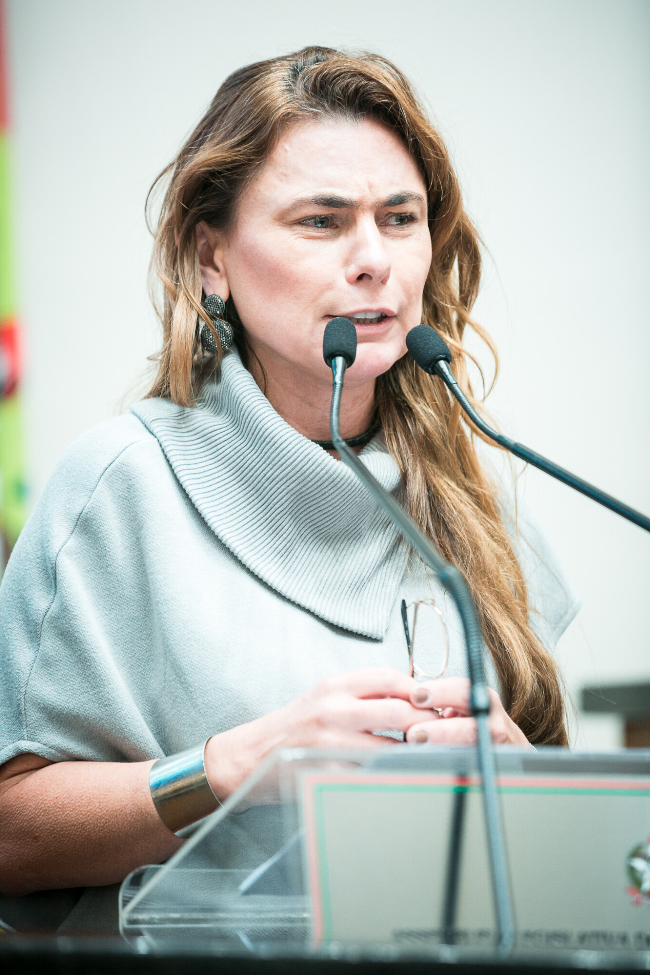 - Deputada Paulinha (Podemos)