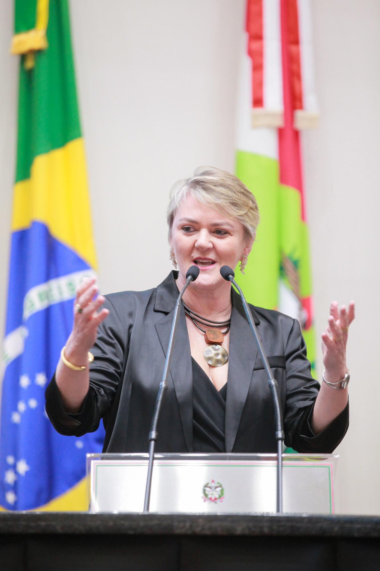 - Deputada Luciane Carminatti (PT)