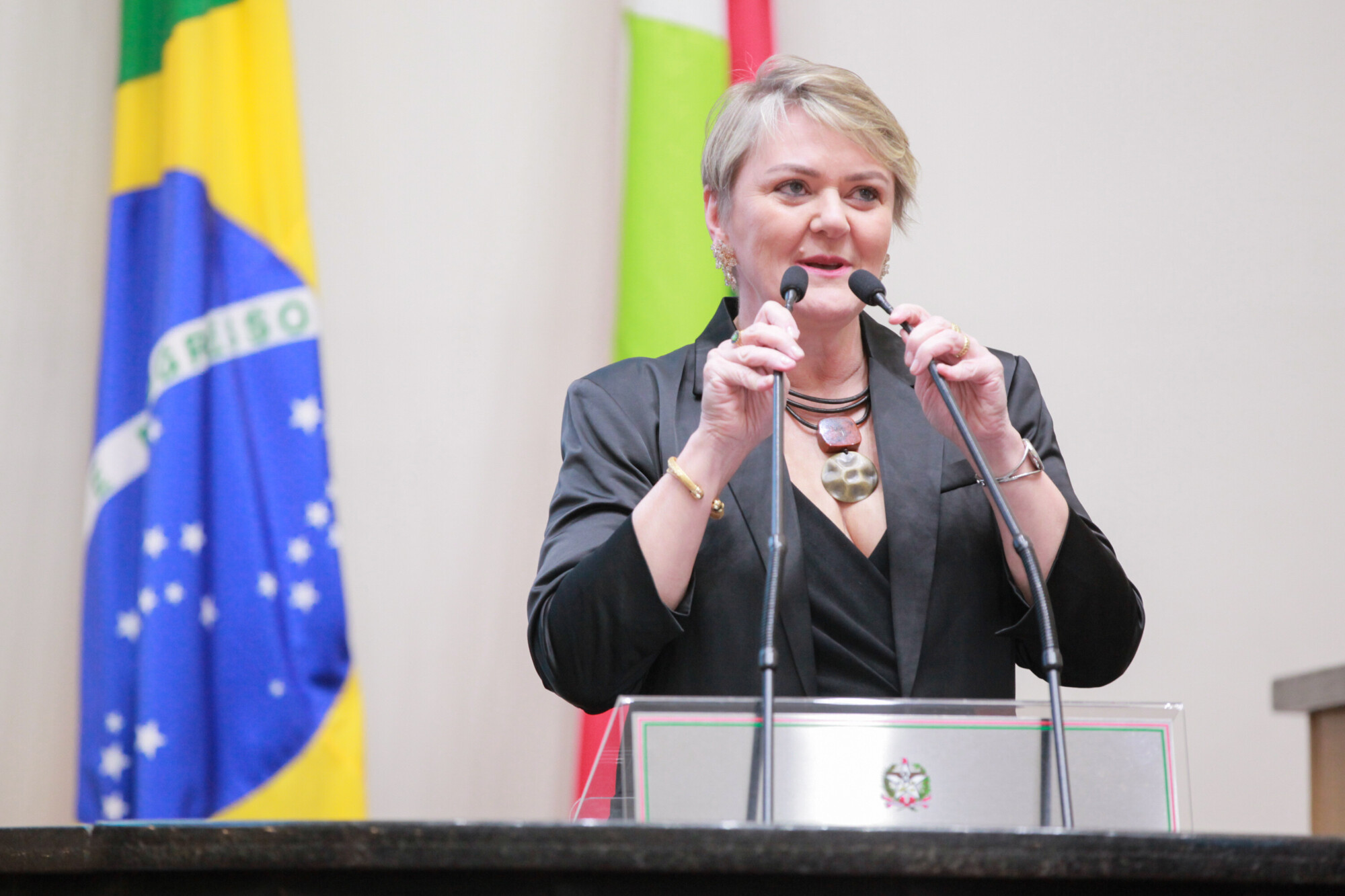 - Deputada Luciane Carminatti (PT)