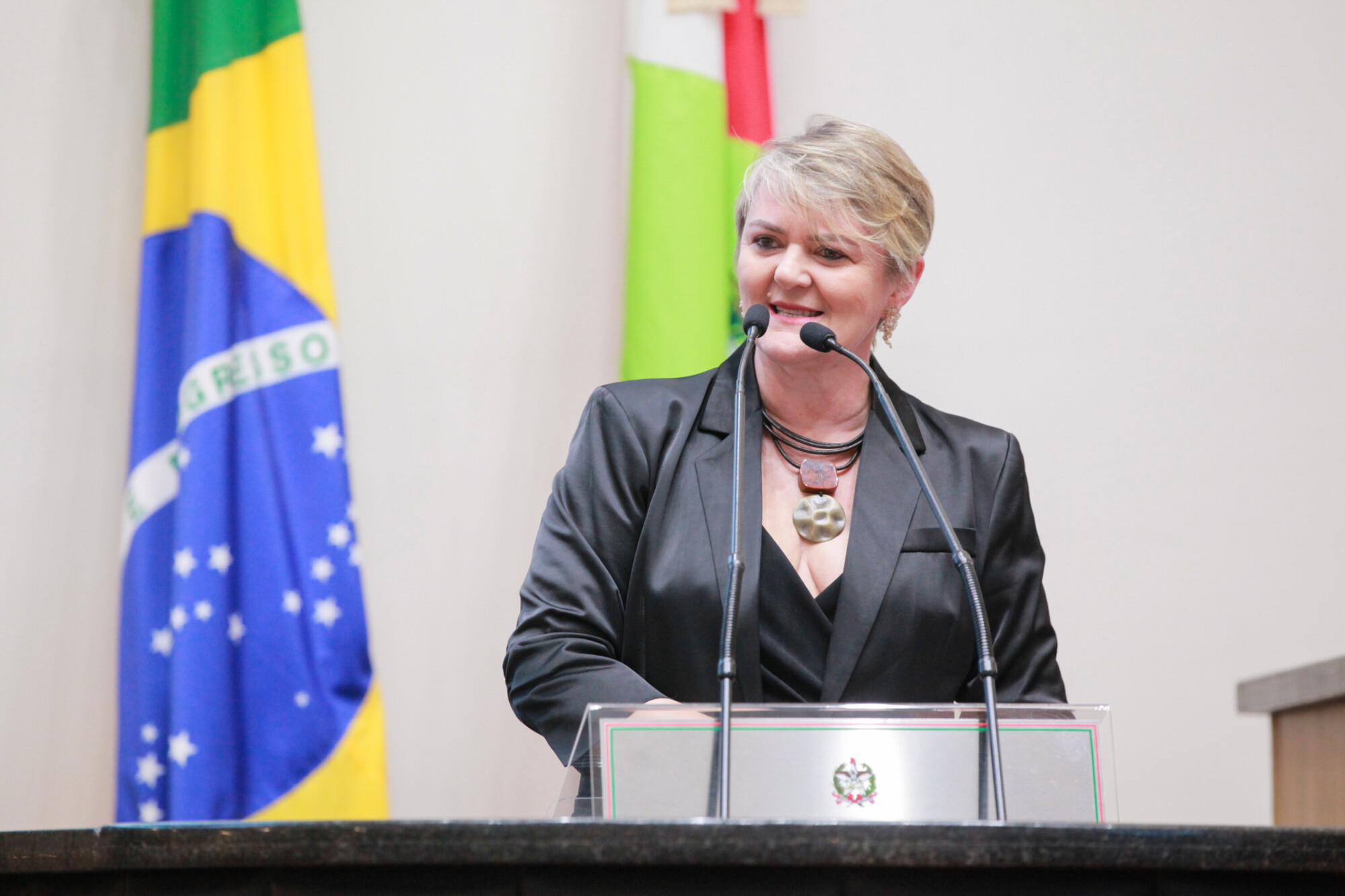 - Deputada Luciane Carminatti (PT)