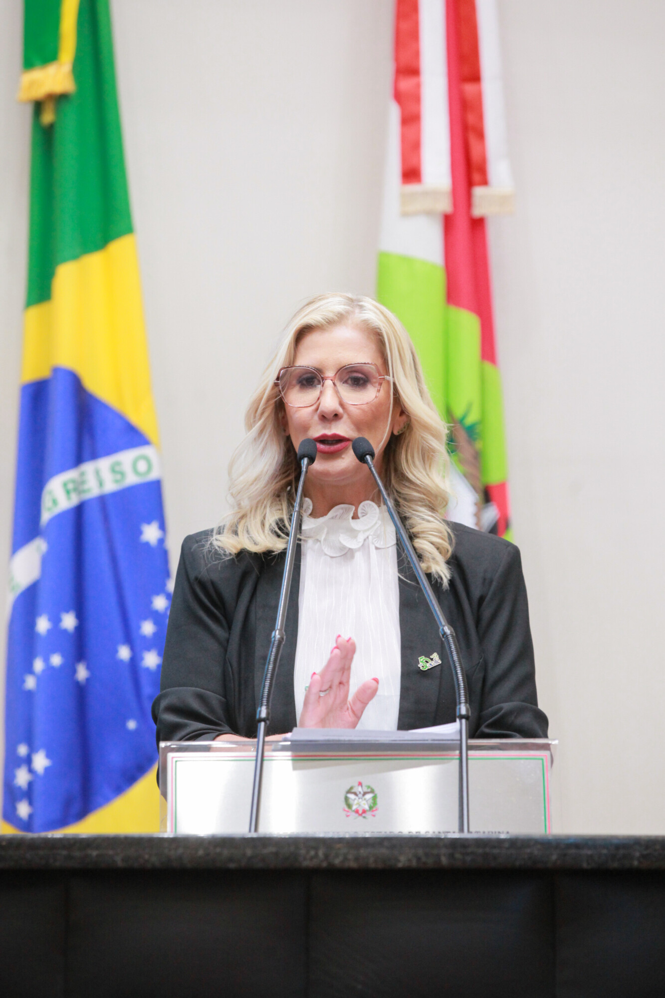 Luciane Ceretta- Presidente Da ACAFE e Reitora Da Unesc