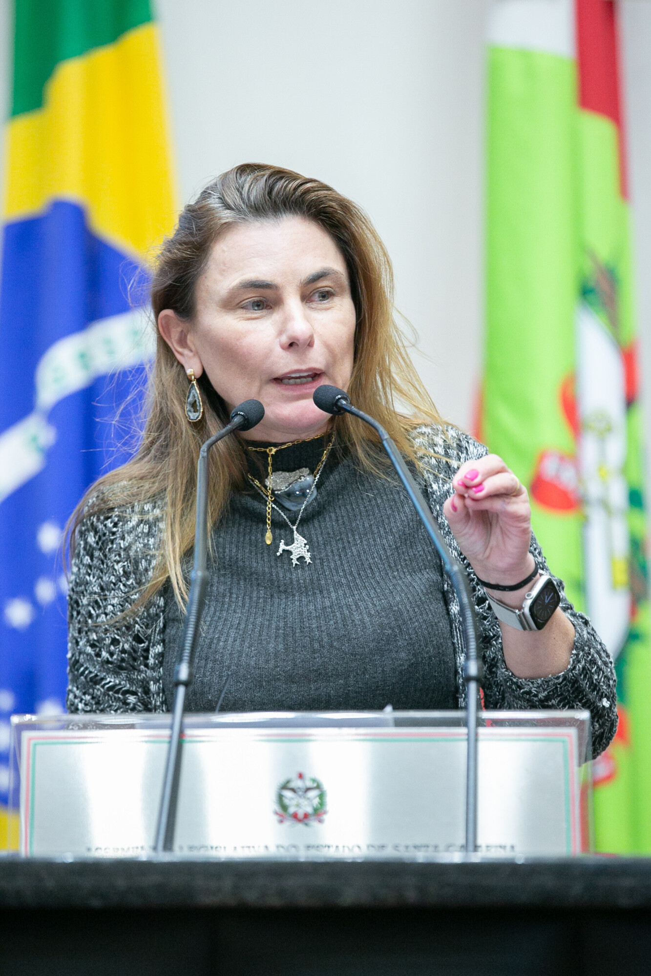 - Deputada Paulinha (Podemos)