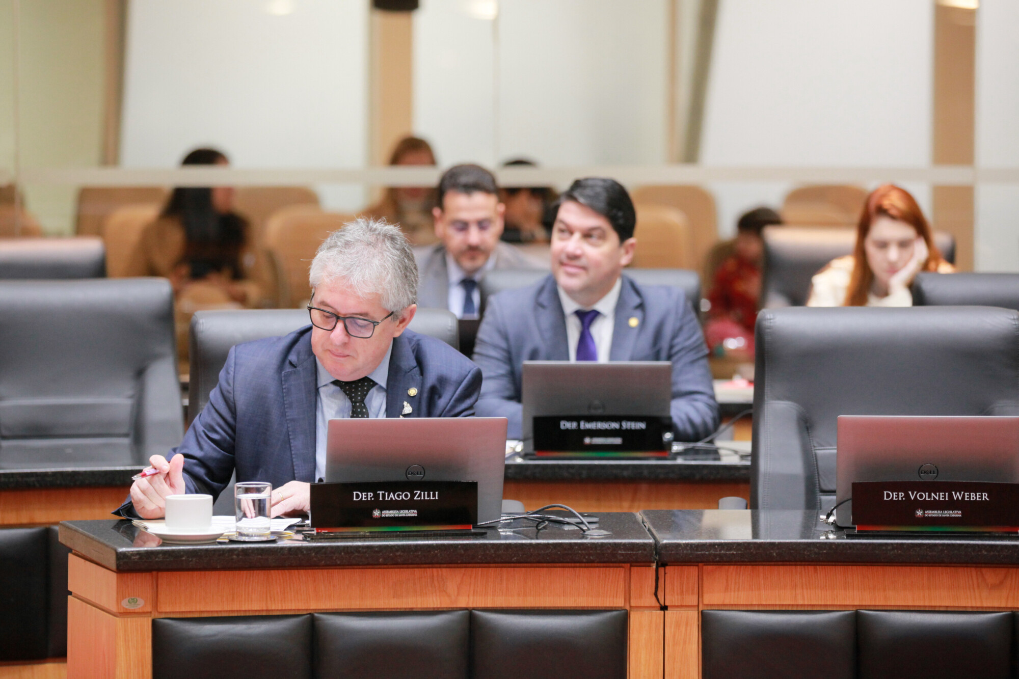 - Deputado Tiago Zilli (MDB)