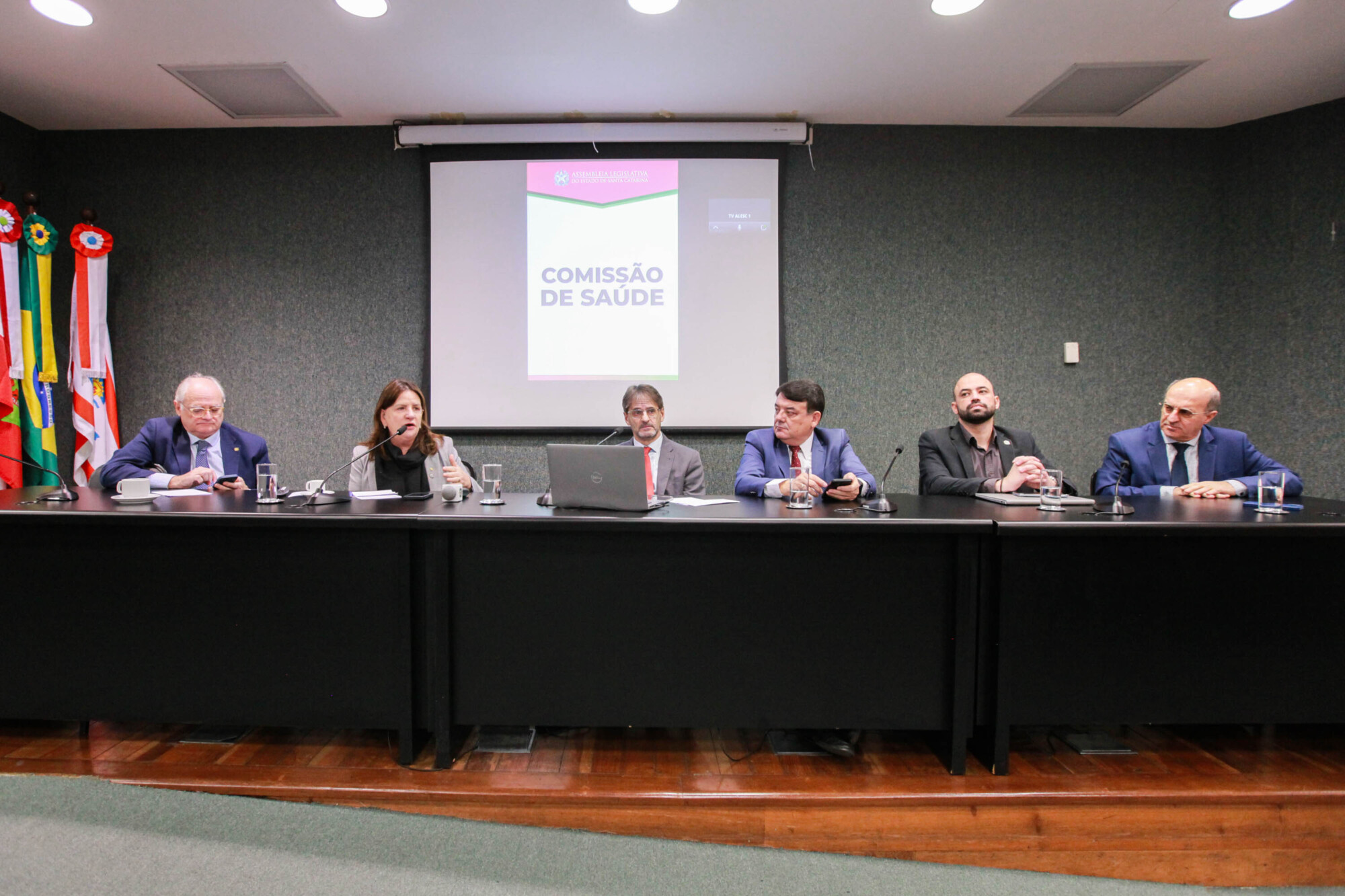 Audiência Pública – Prestação de Contas do 1º Quadrimestre pela Secretaria de Estado da Saúde