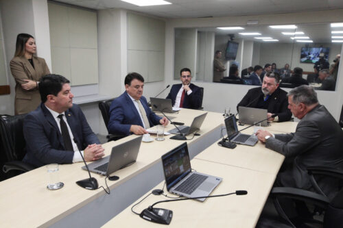 Aprovado projeto que inclui a pessoa com deficiência nas ações do Junho Violeta