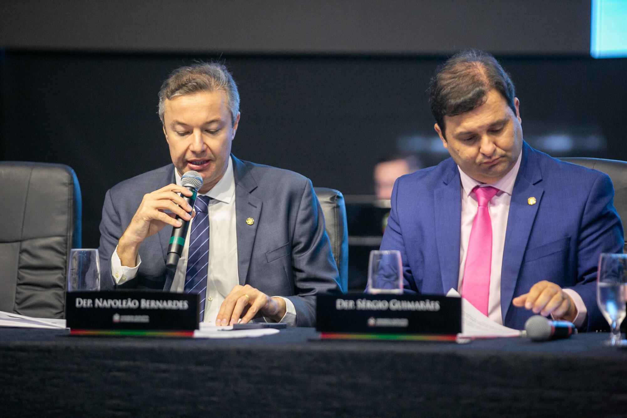 - Deputado Napoleão Bernardes (PSD) 	
 - Deputado Sérgio Guimarães(União)