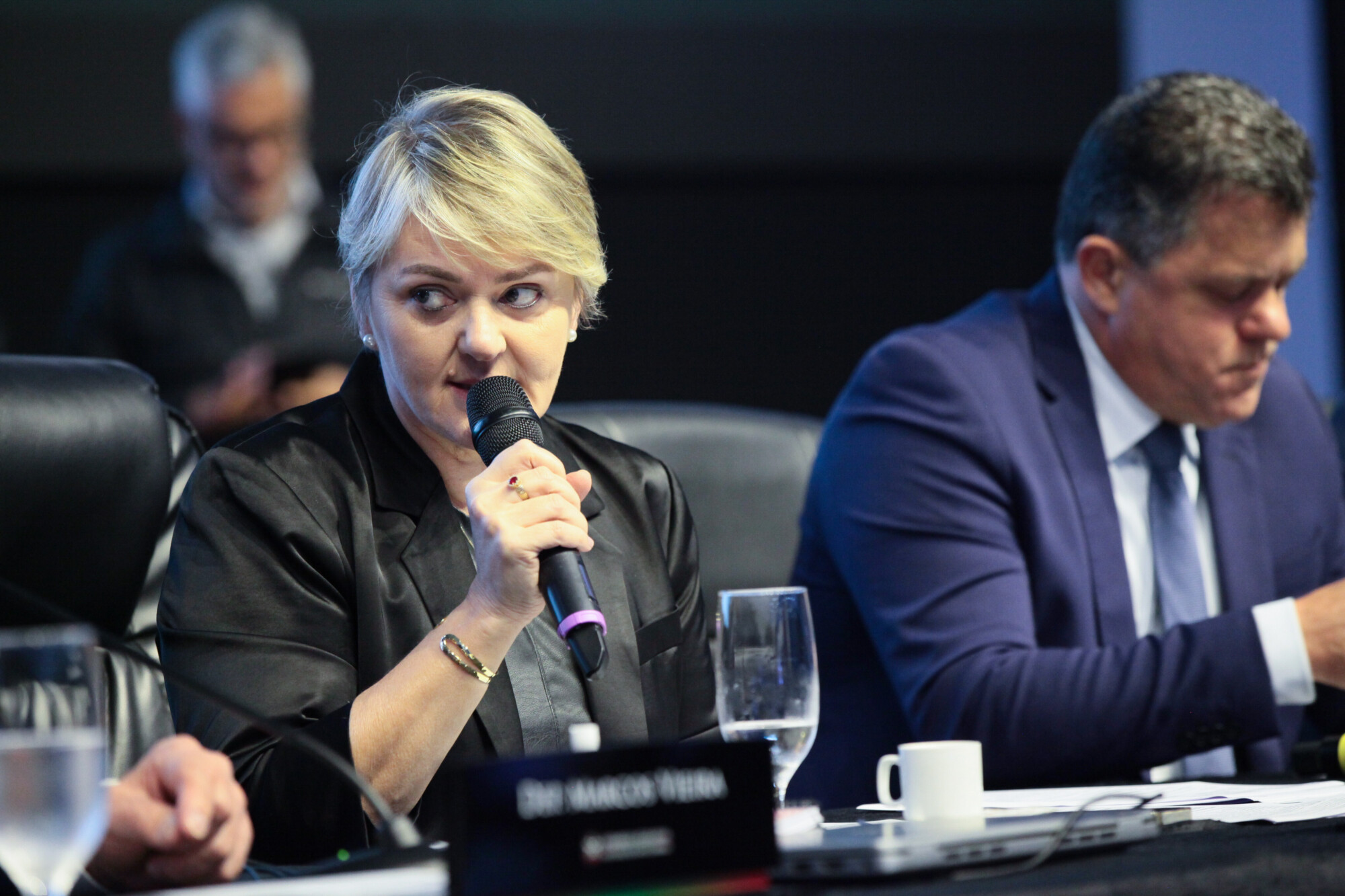 - Deputada Luciane Carminatti (PT)