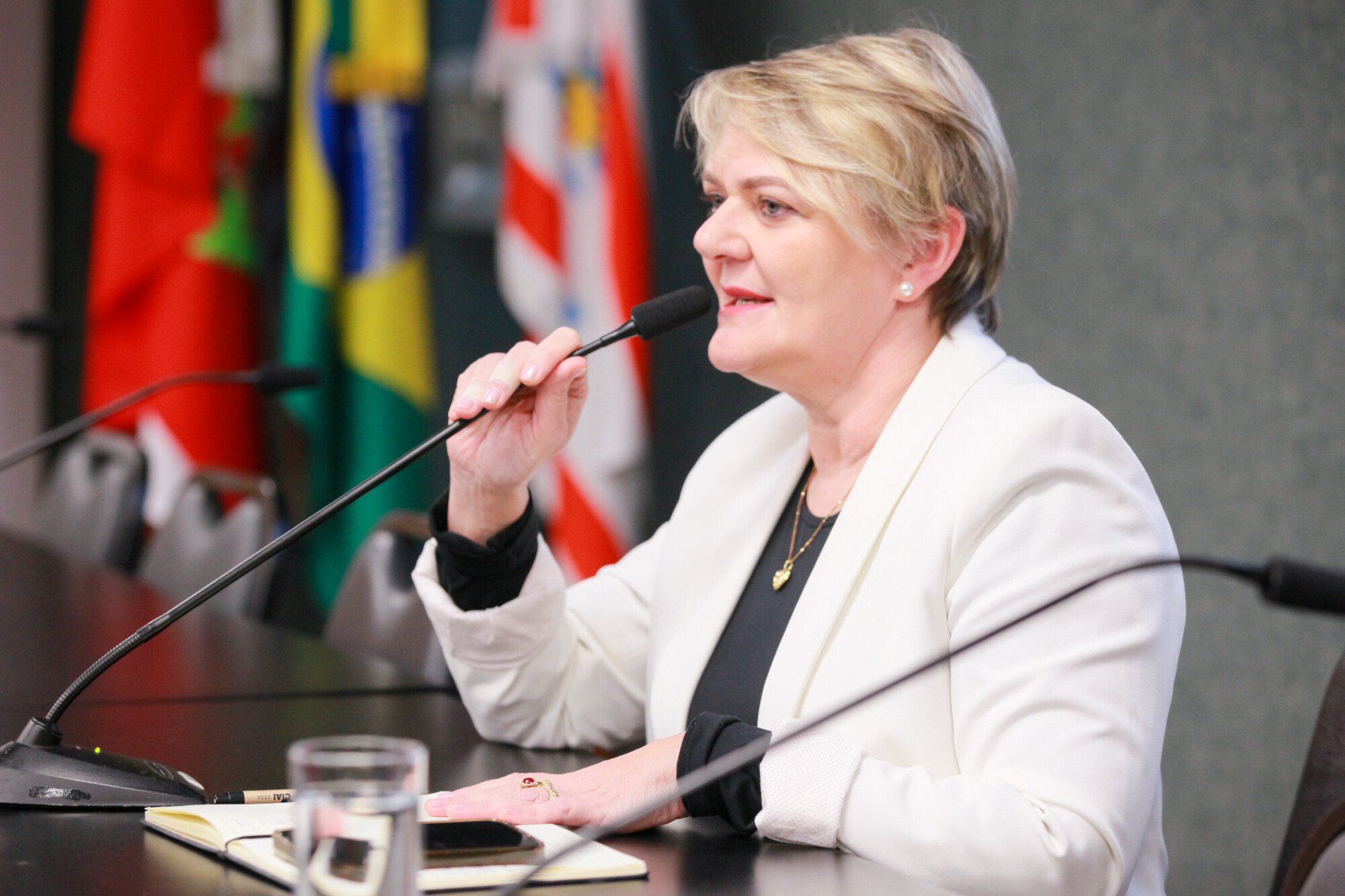 - Deputada Luciane Carminatti (PT)