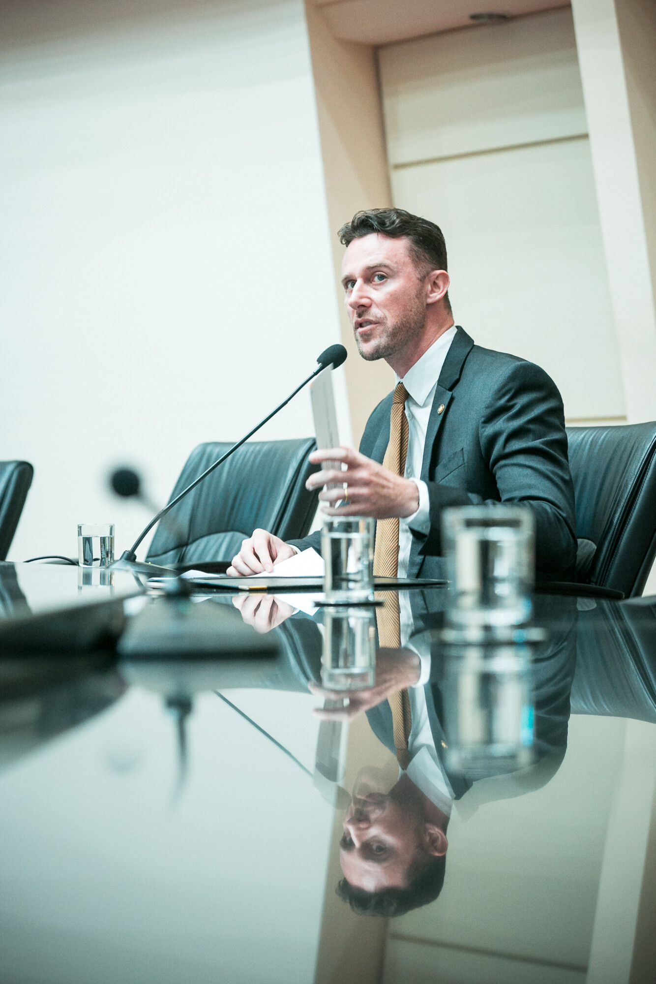 - Deputado Fernando Krelling (MDB)