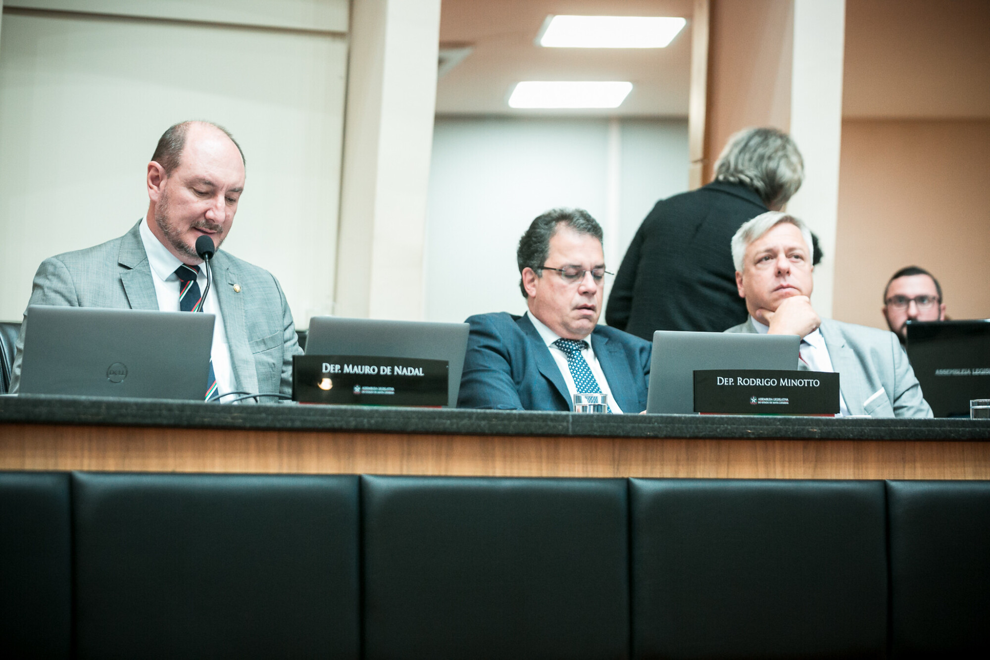 - Deputado Mauro de Nadal (MDB) 	
 - Deputado Rodrigo Minotto (PDT) 	
 - Deputado Fabiano da Luz (PT)