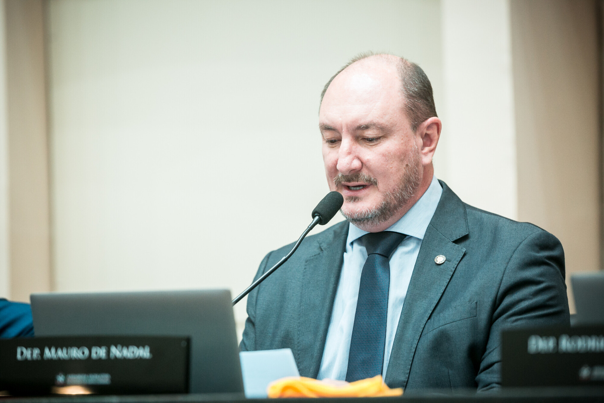 - Deputado Mauro de Nadal (MDB)