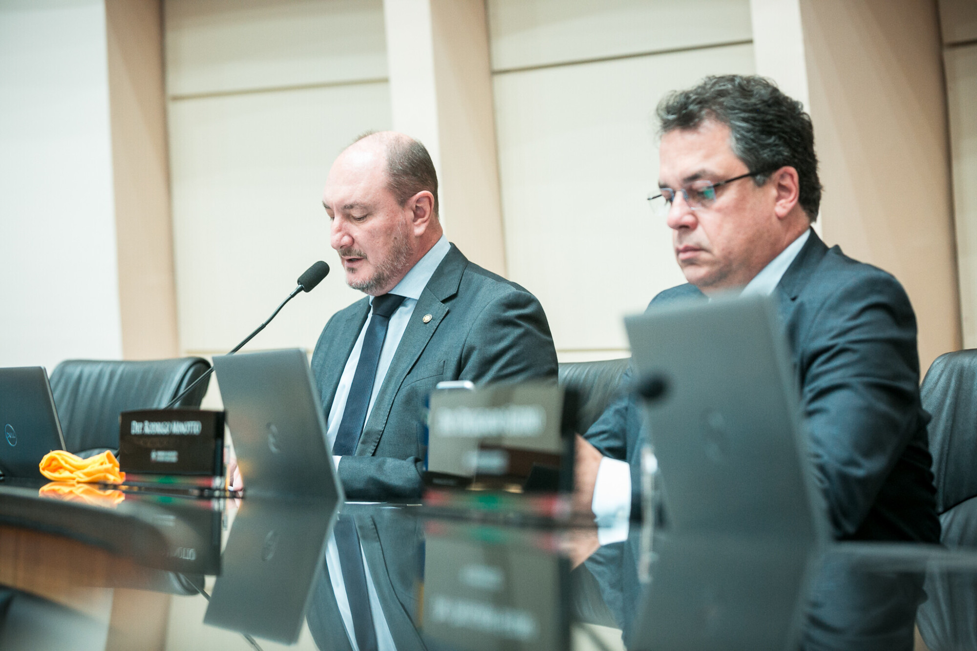 - Deputado Mauro de Nadal (MDB) 	
 - Deputado Rodrigo Minotto (PDT)