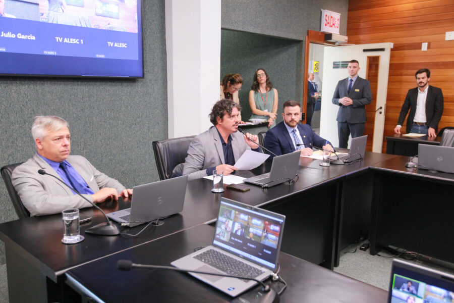 Membros da Comissão de Turismo e Meio Ambiente, em reunião na tarde desta quarta-feira (19)