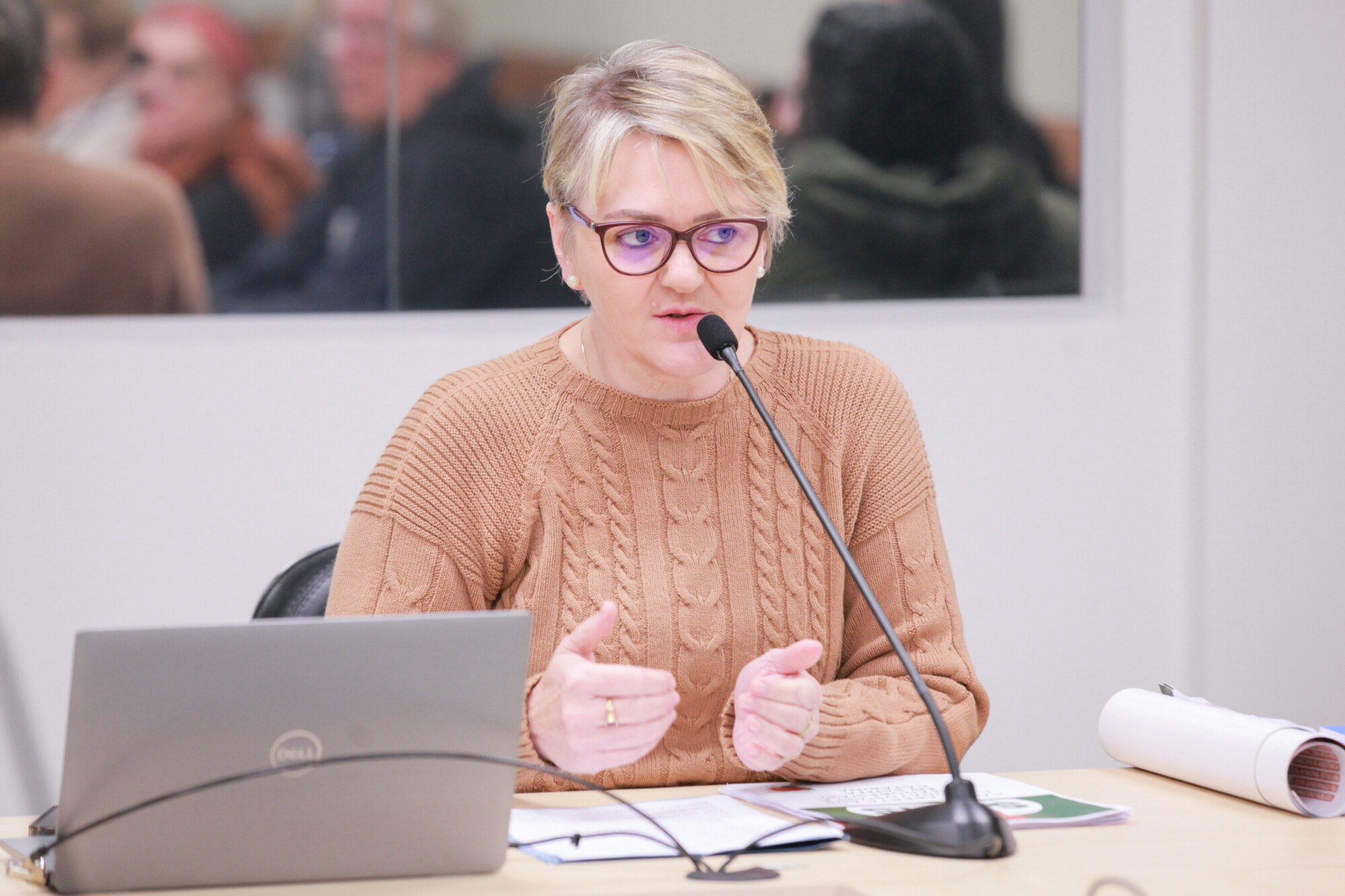 - Deputada Luciane Carminatti (PT)