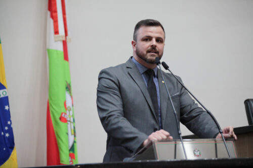 Deputado contesta projeto que proíbe Pinus elliottii na Coxilha Rica