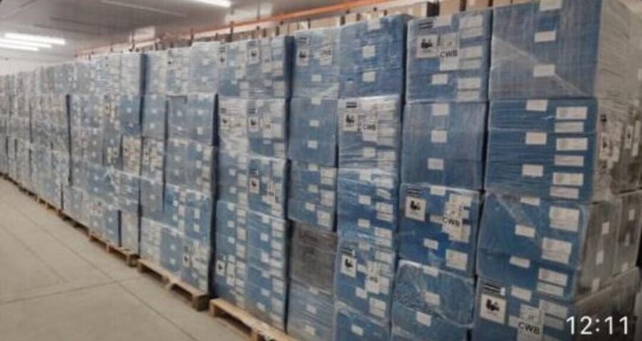 Foto ilustrativa de uns dos lotes dos notebooks recebidos pela SED