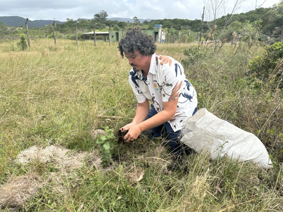 Foto: Deputado Marquito participa de plantio na Lagoa da Conceição, em Florianópolis.