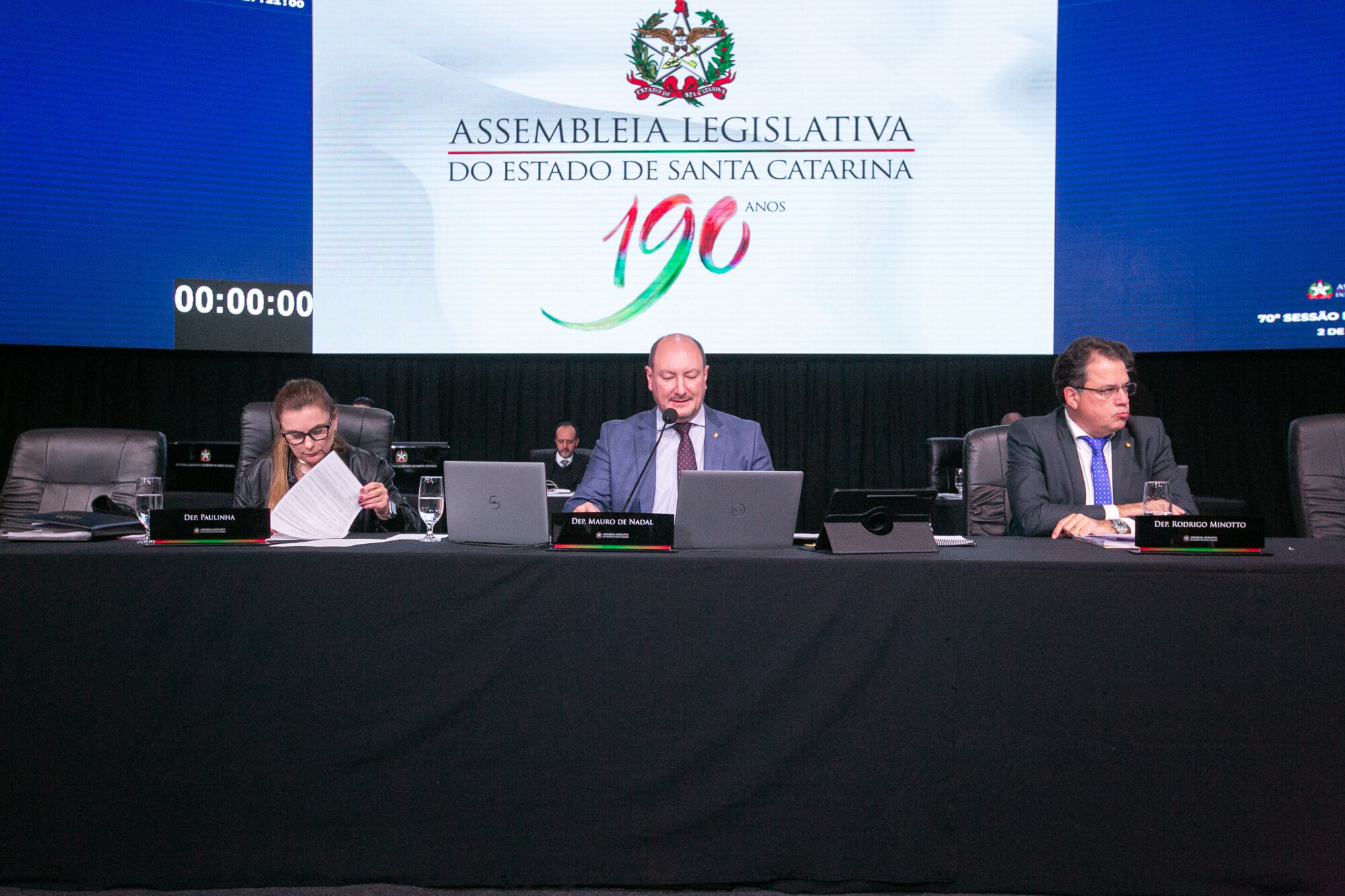 - Deputada Paulinha (Podemos) 	
- Deputado Mauro de Nadal (MDB) 	
 - Deputado Rodrigo Minotto (PDT)